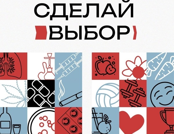 В Красноярском крае начался конкурс «Сделай выбор».