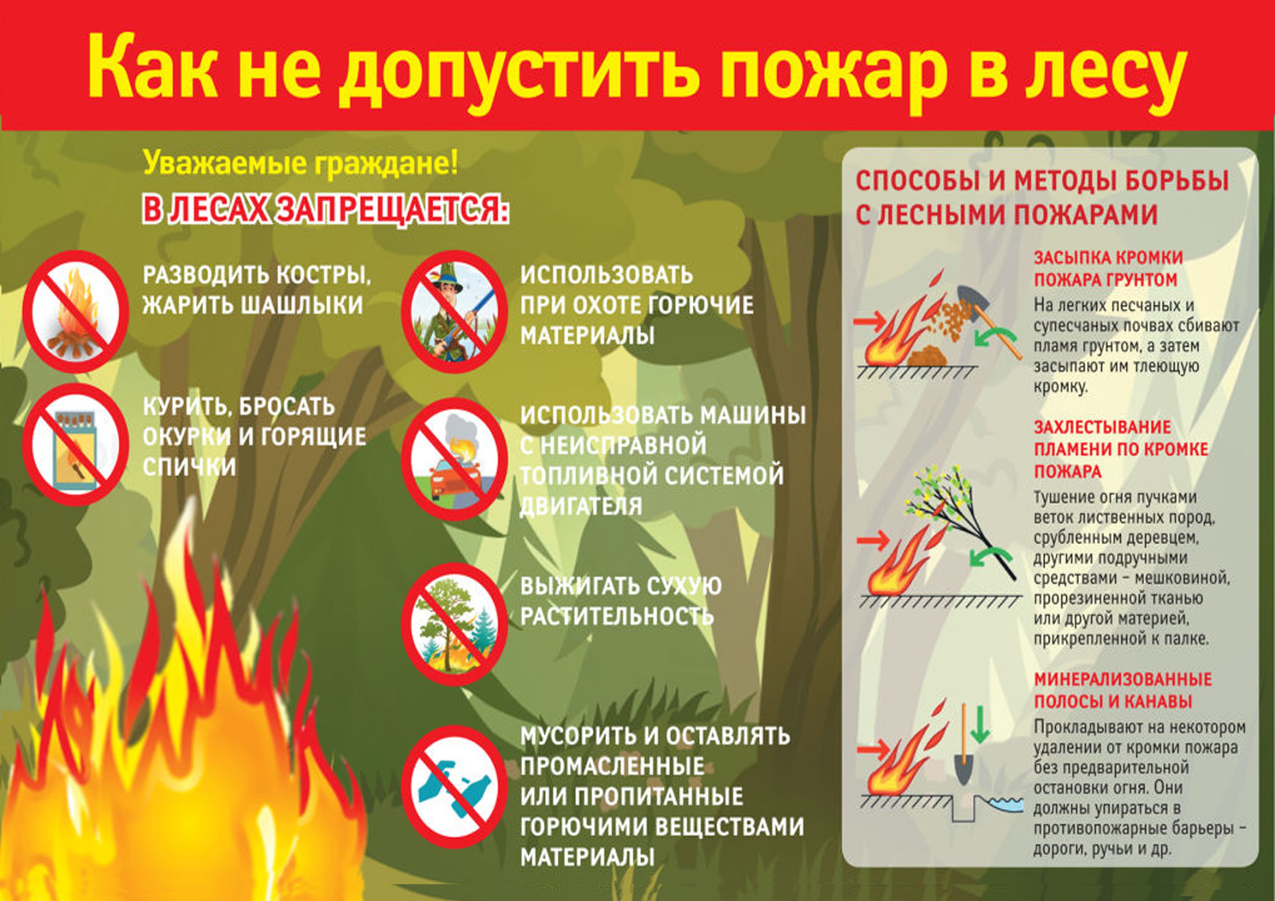 Памятка по действиям при возникновении лесного пожара.