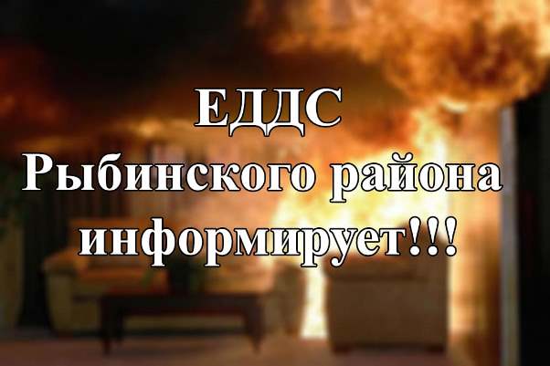 Единая диспетчерская служба Рыбинского района предупреждает, что выход на тонкий лёд опасен для жизни.. Единая диспетчерская служба Рыбинского района предупреждает, что выход на тонкий лёд опасен для жизни..