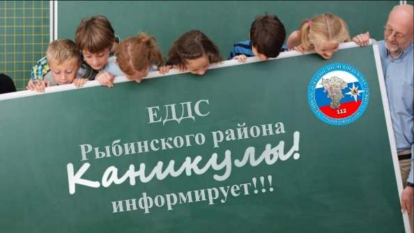 Каникулы!. Каникулы!.